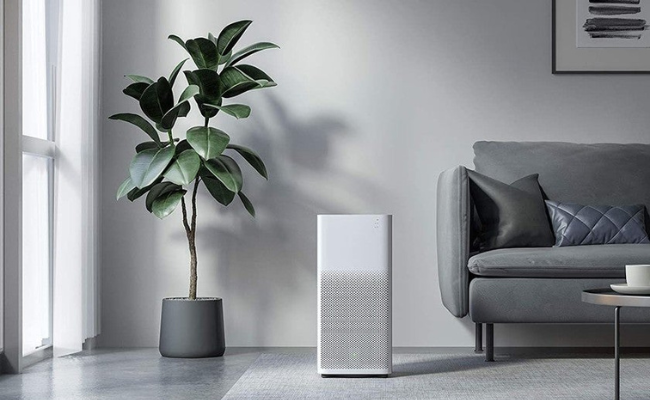 Understanding the Importance of Air Purification