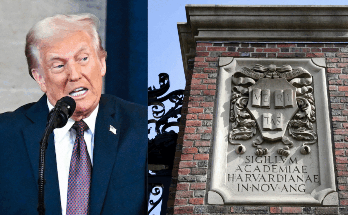 Trump Harvard